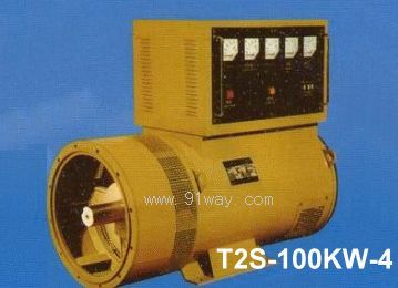 T2S-100KW-4ͬl늙C